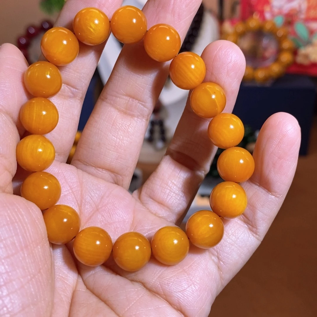 贝壳杉帝王血龙木1.0全透