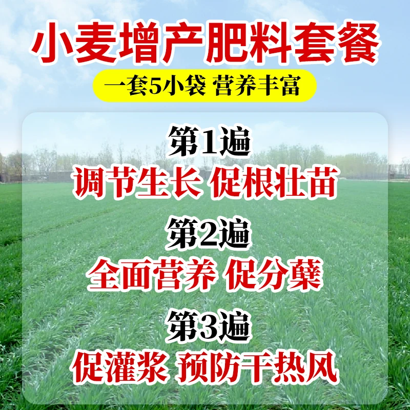 小麦套餐 高产增产 一喷三防肥料叶面喷施 叶面肥 正品 提苗壮棵