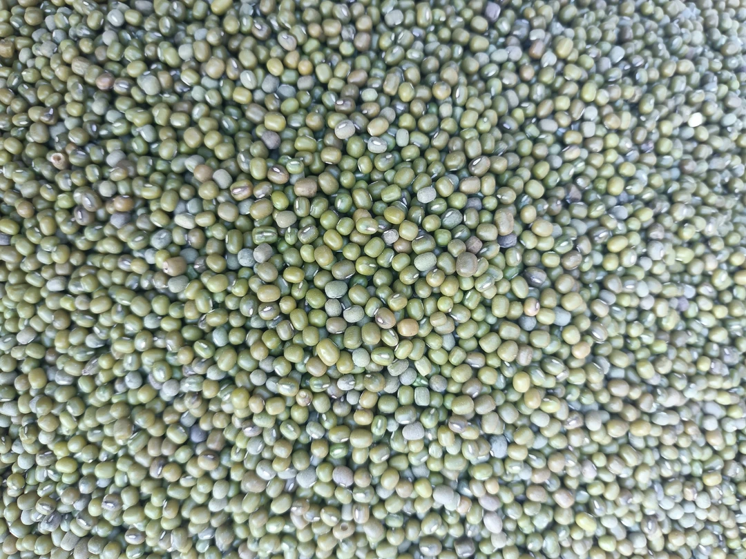 云南土绿。。。。豆特产