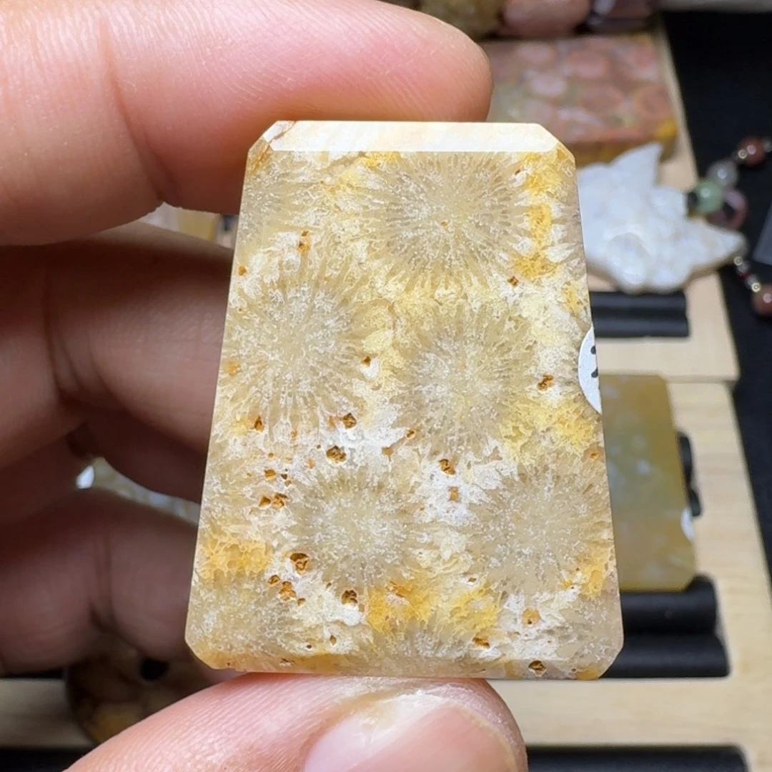 未镶嵌纯天然色有机玉石保真色硅化玉