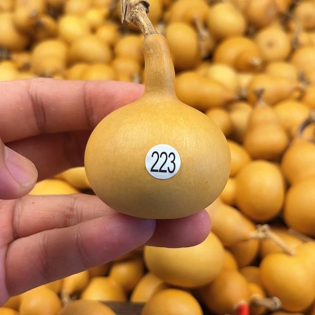 二葫芦葫芦葫芦葫芦223