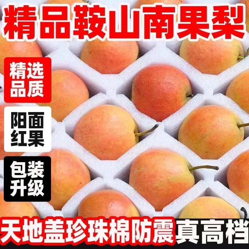 鞍山南果梨正宗香水梨新鲜东北大果辽宁特产礼盒包装薄皮当季红果