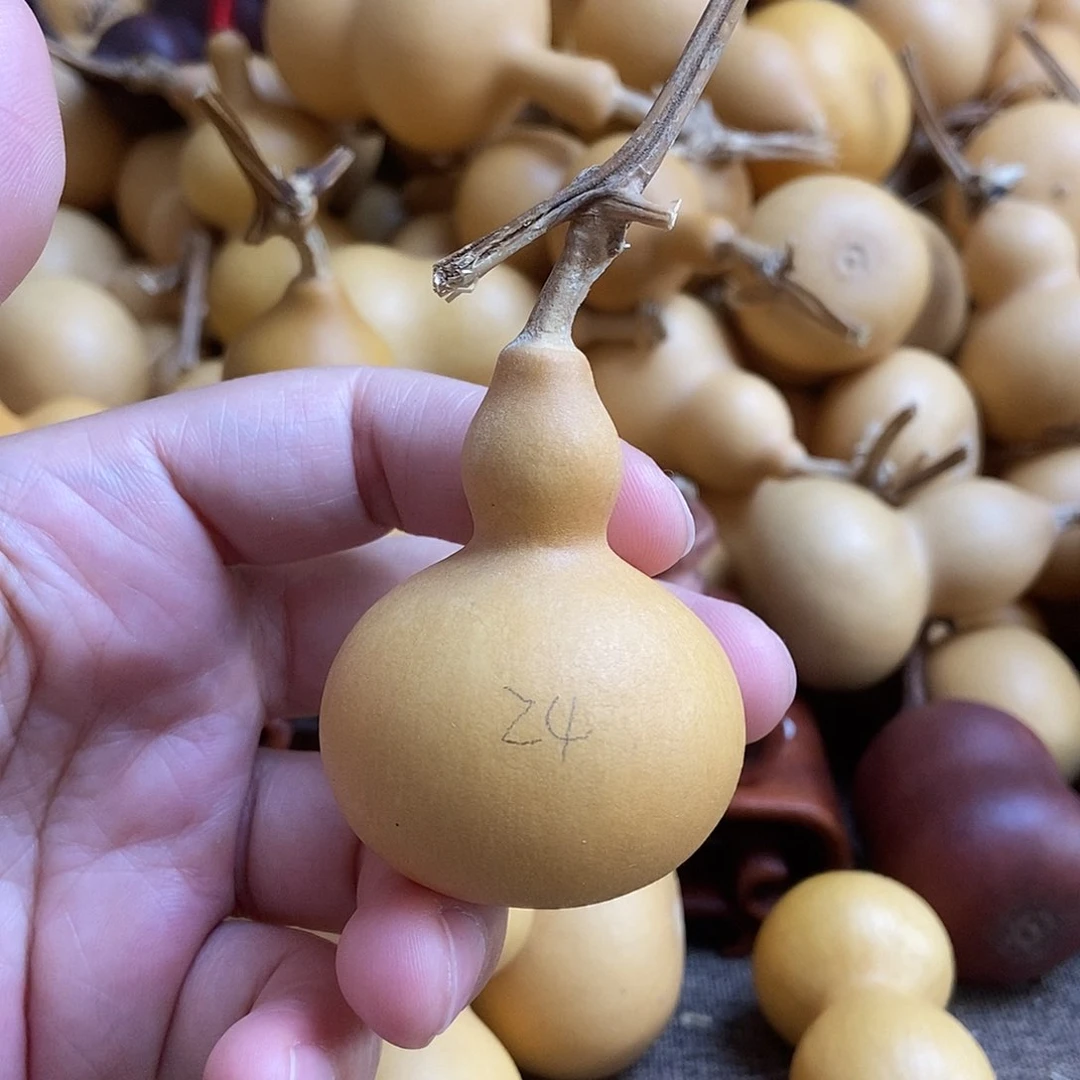 文玩葫芦 完美主义者 慎拍24