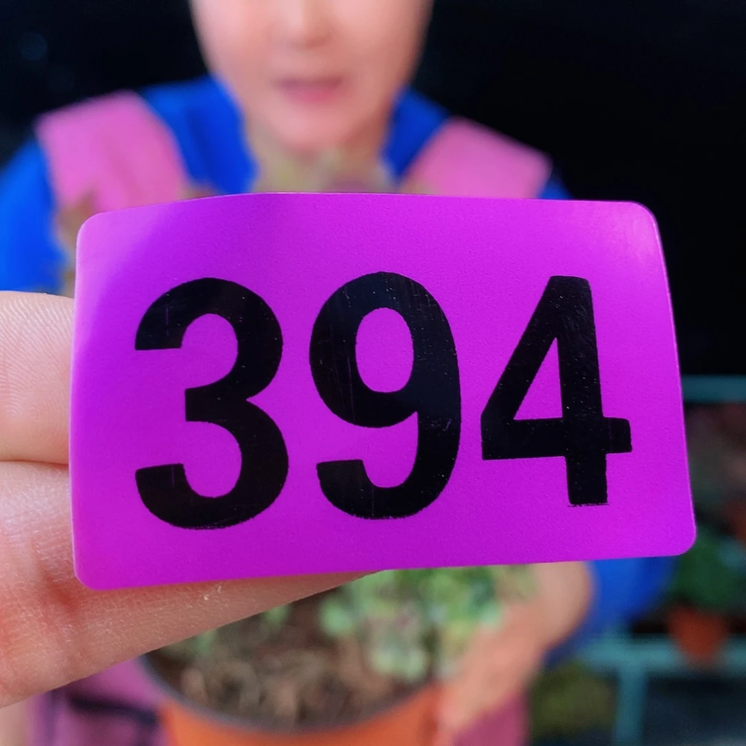 ssssssssssssddssssdsdssssss394