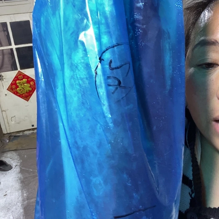 中国大陆渤海湾野生燕鲅鱼24号