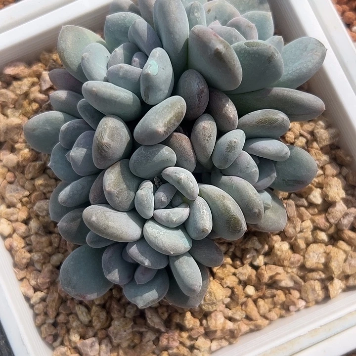 米雪自然群11111111