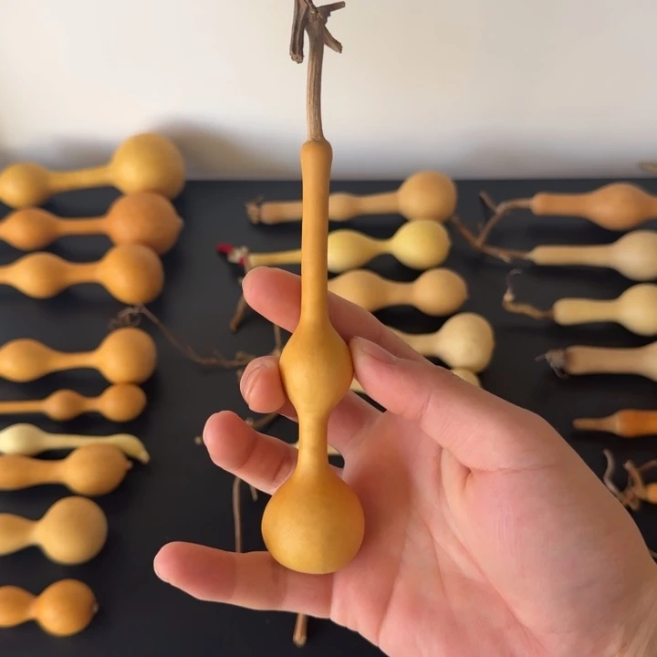 罗***特精品杆子老皮周正