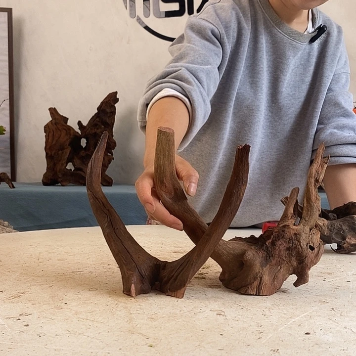 沉木造景寄居蟹景