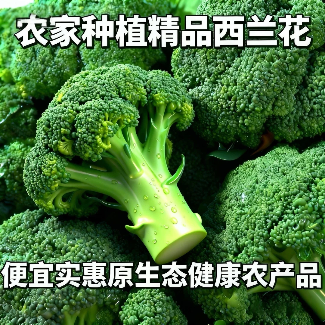 新鲜脆嫩西兰花自然生长