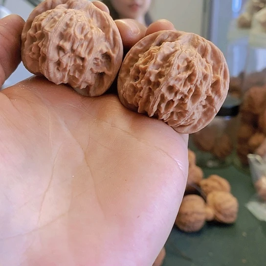 【闪购商品】把件文玩核桃43天地