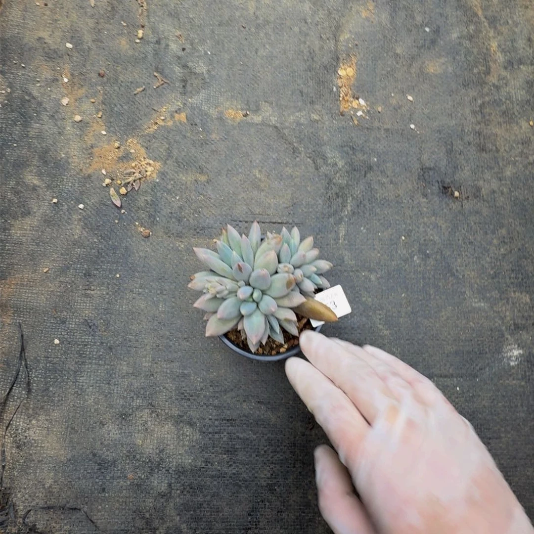 x x x x x x x x 53