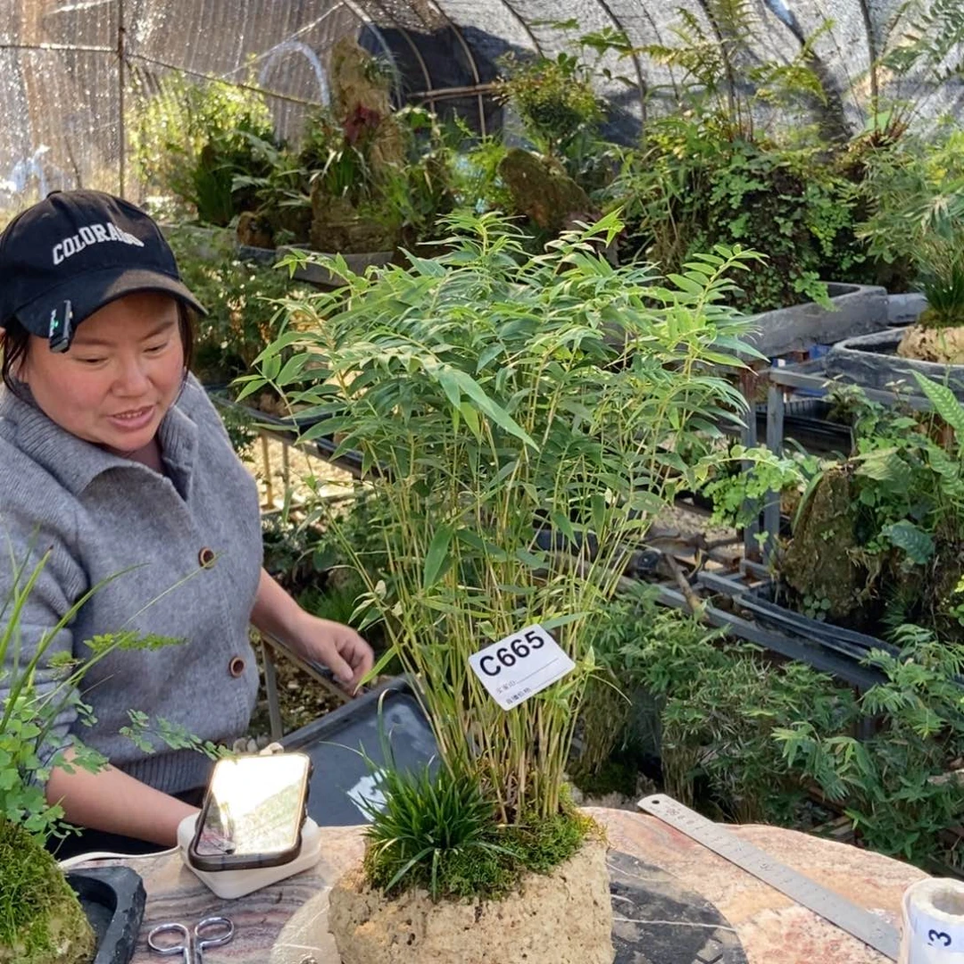 王****无花朵1111111111111