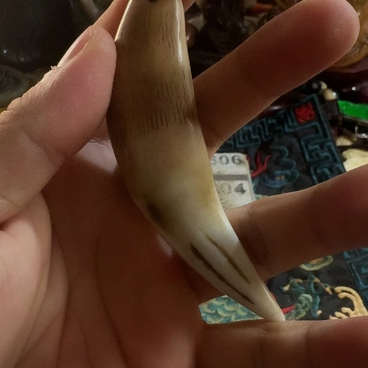 大哥专拍链接一号