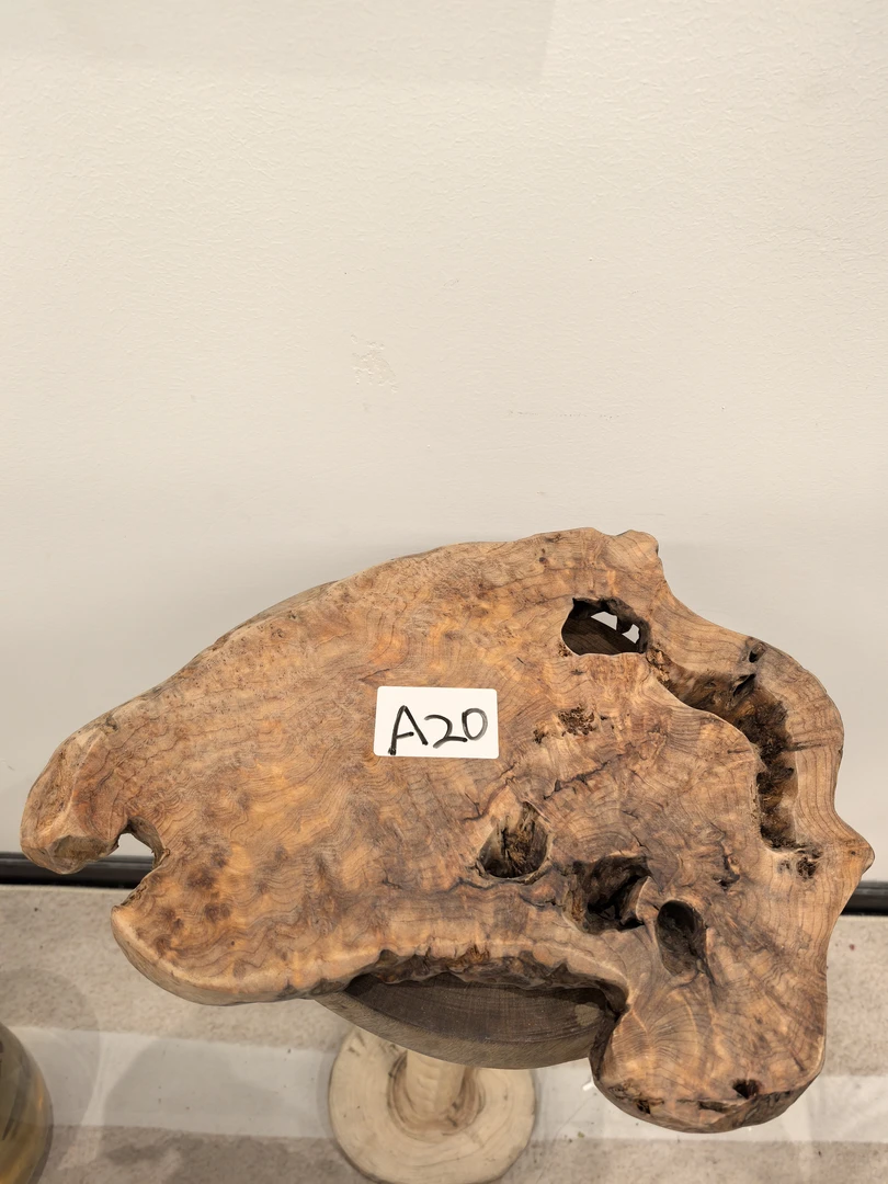 香杉木干泡台树根一物一拍