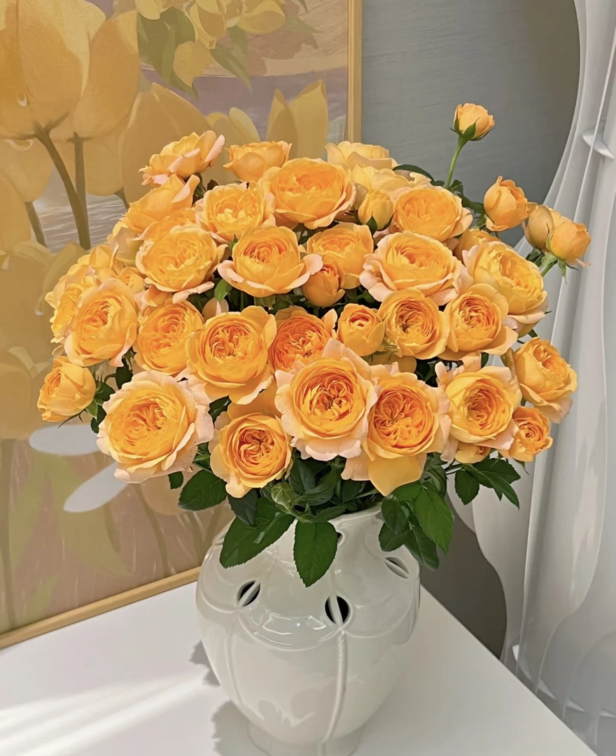 【果汁阳台】多头玫瑰10支  任意两单鲜花顺丰 （三单顺丰+花瓶）