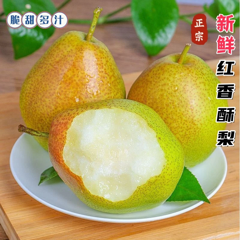 【脆甜多汁】正宗山西早熟酥梨新鲜应季水果现摘香甜皮薄香梨酥梨