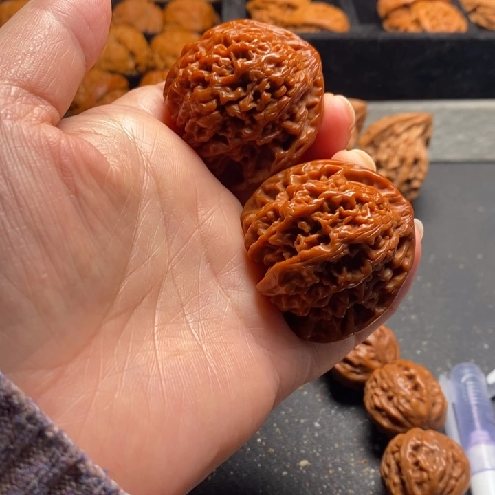 秦岭野生1111111111