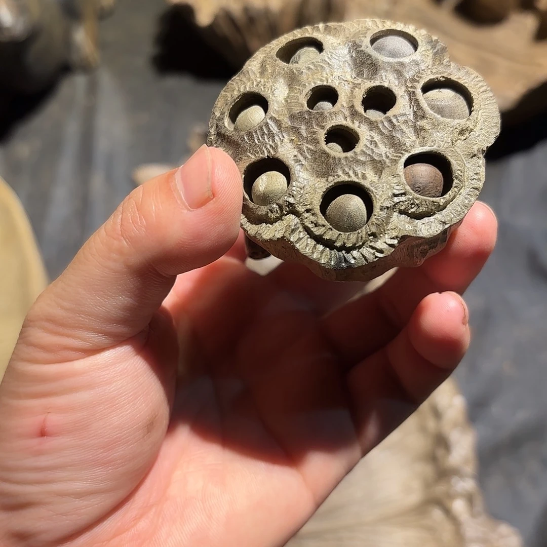 李***资金丝楠金丝楠木莲蓬