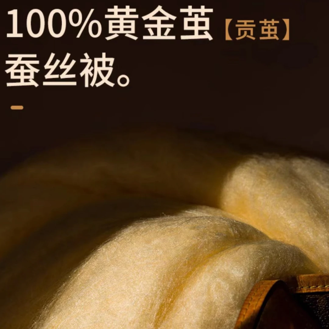 (断码清仓)天然黄金蚕丝被100%桑蚕丝长丝空调被冬被春秋被手工