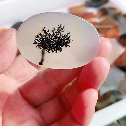 玛瑙/玉髓颈饰未镶嵌胖*鱼