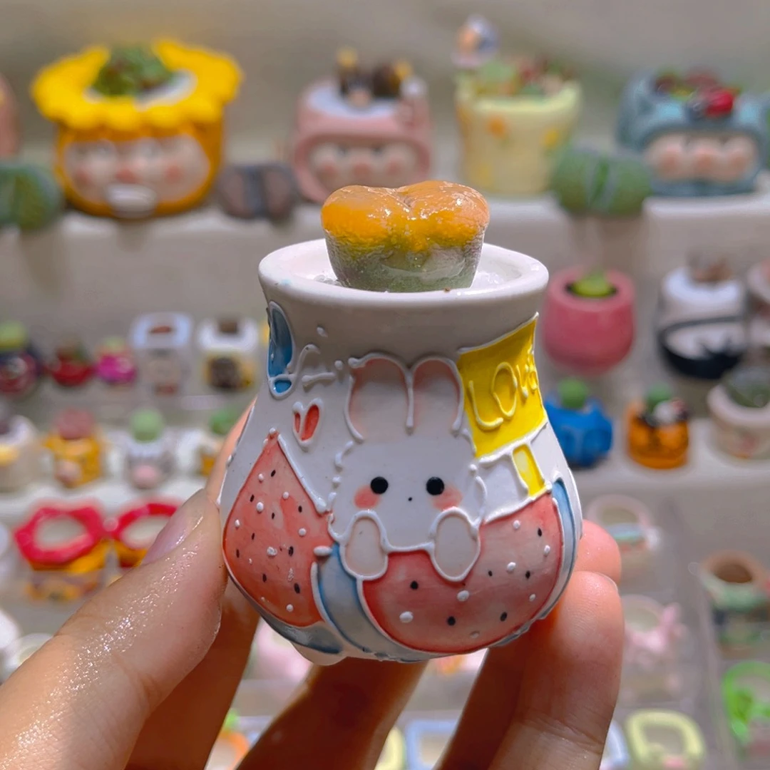 082高端多肉带盆土一人38