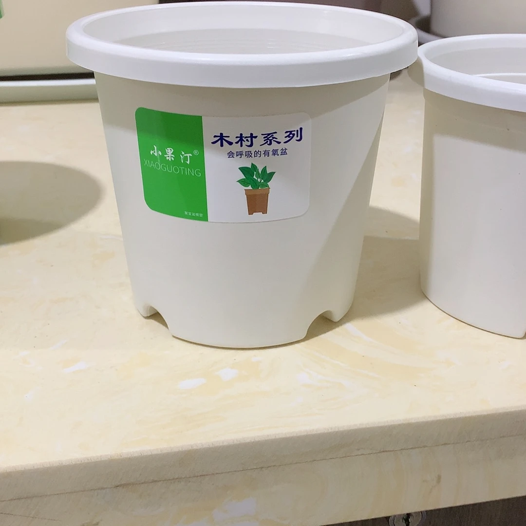 树脂四季口15白10个无托