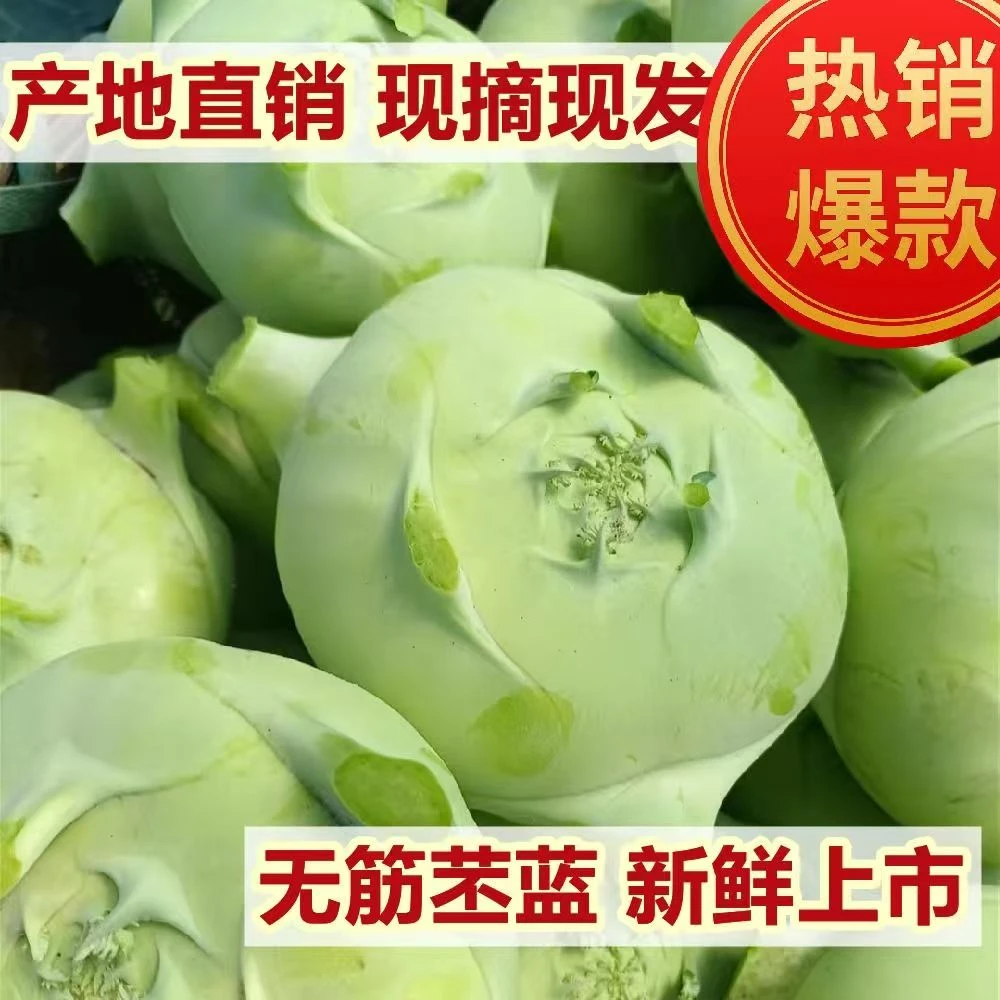 云南新鲜现摘脆嫩薄皮苤蓝农家自种当季蔬菜