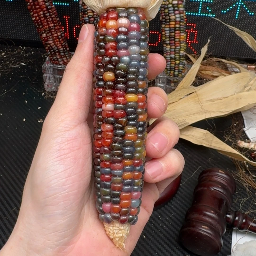 柏香籽/百香籽吊坠F****呆