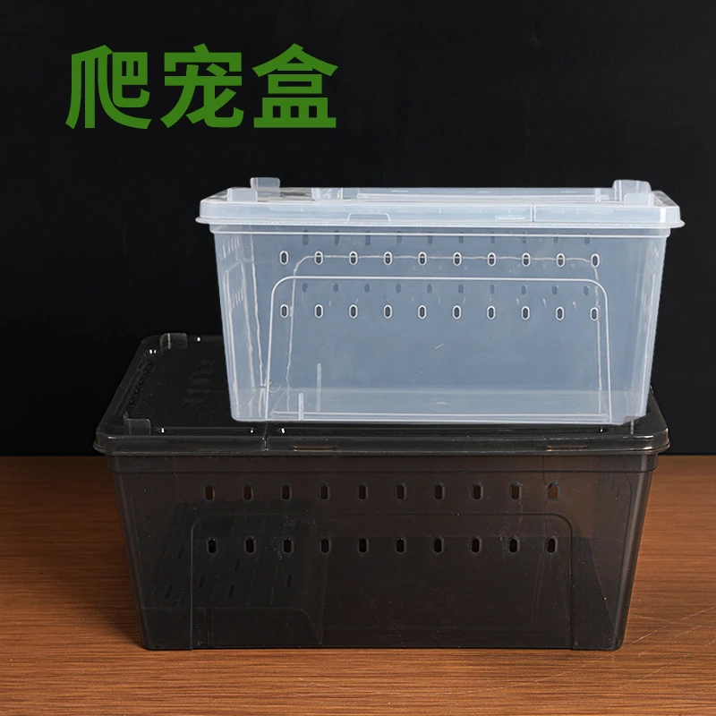 爬宠箱寄居蟹昆虫守宫蚕宝宝蜘蛛角蛙蜥蜴蜗牛宠物两栖乌龟缸