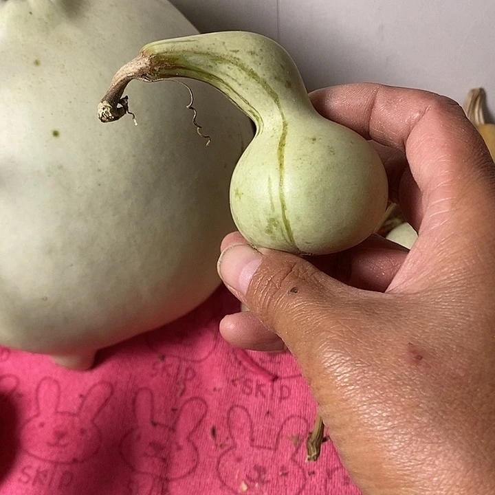 玩***妈青皮葫芦手把件葫芦