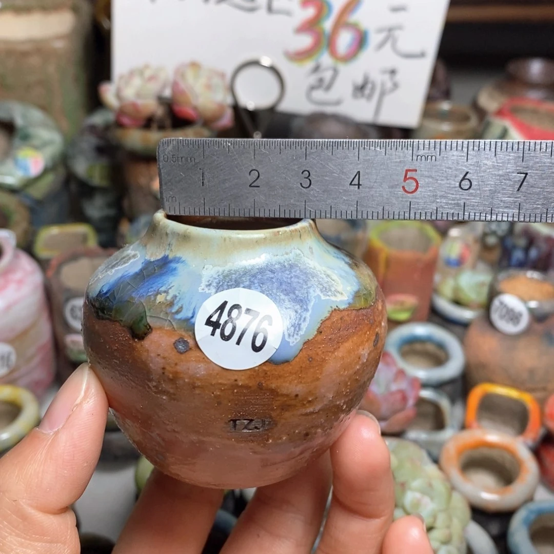 花盆拍5送一个小礼物