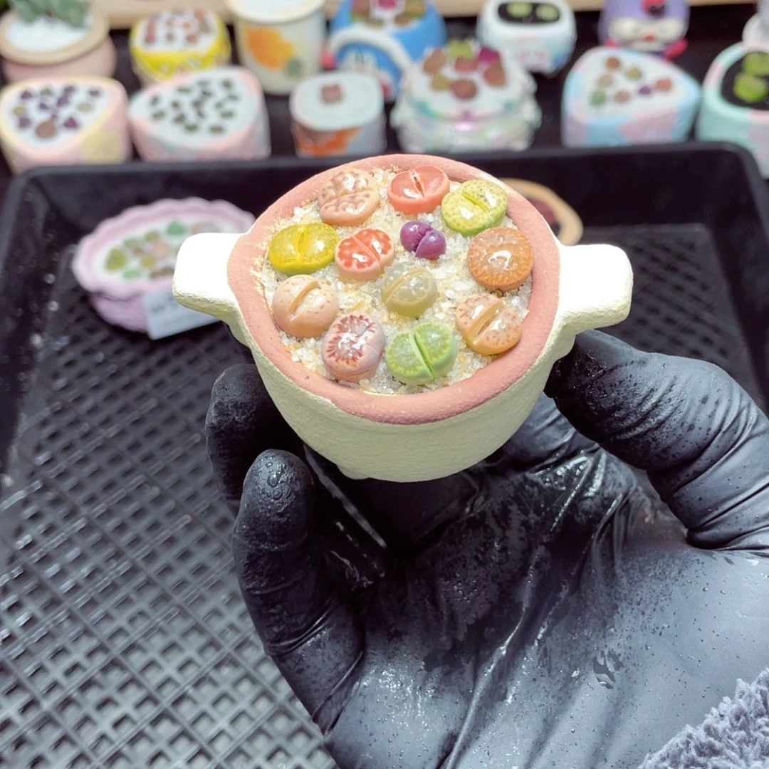 w5552--带盆土发货，零下地区拍保温箱