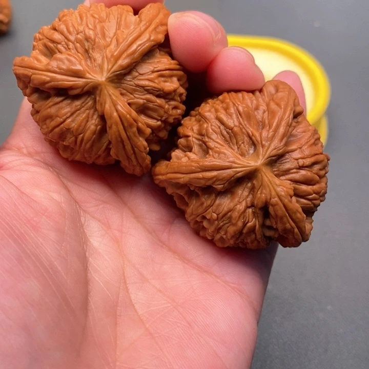 木质类风***丷核桃核桃