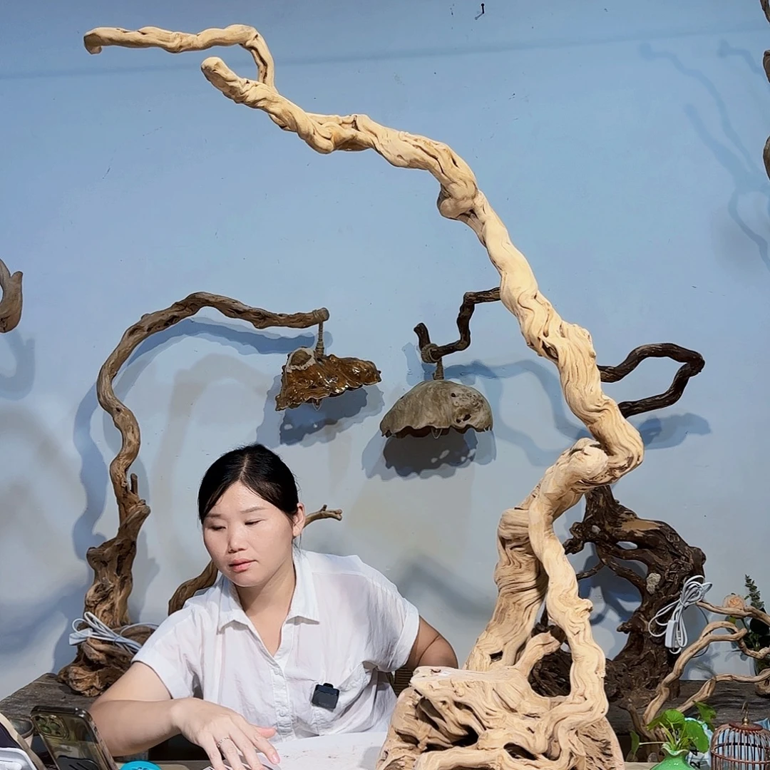 墨***妙核桃木/黑胡桃（胡桃木）