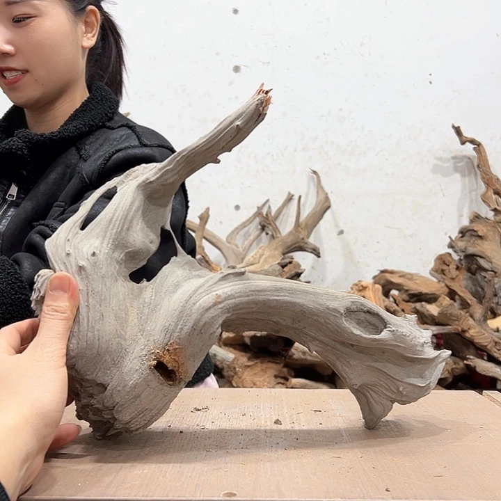 柏木牧*.我们都是好孩子