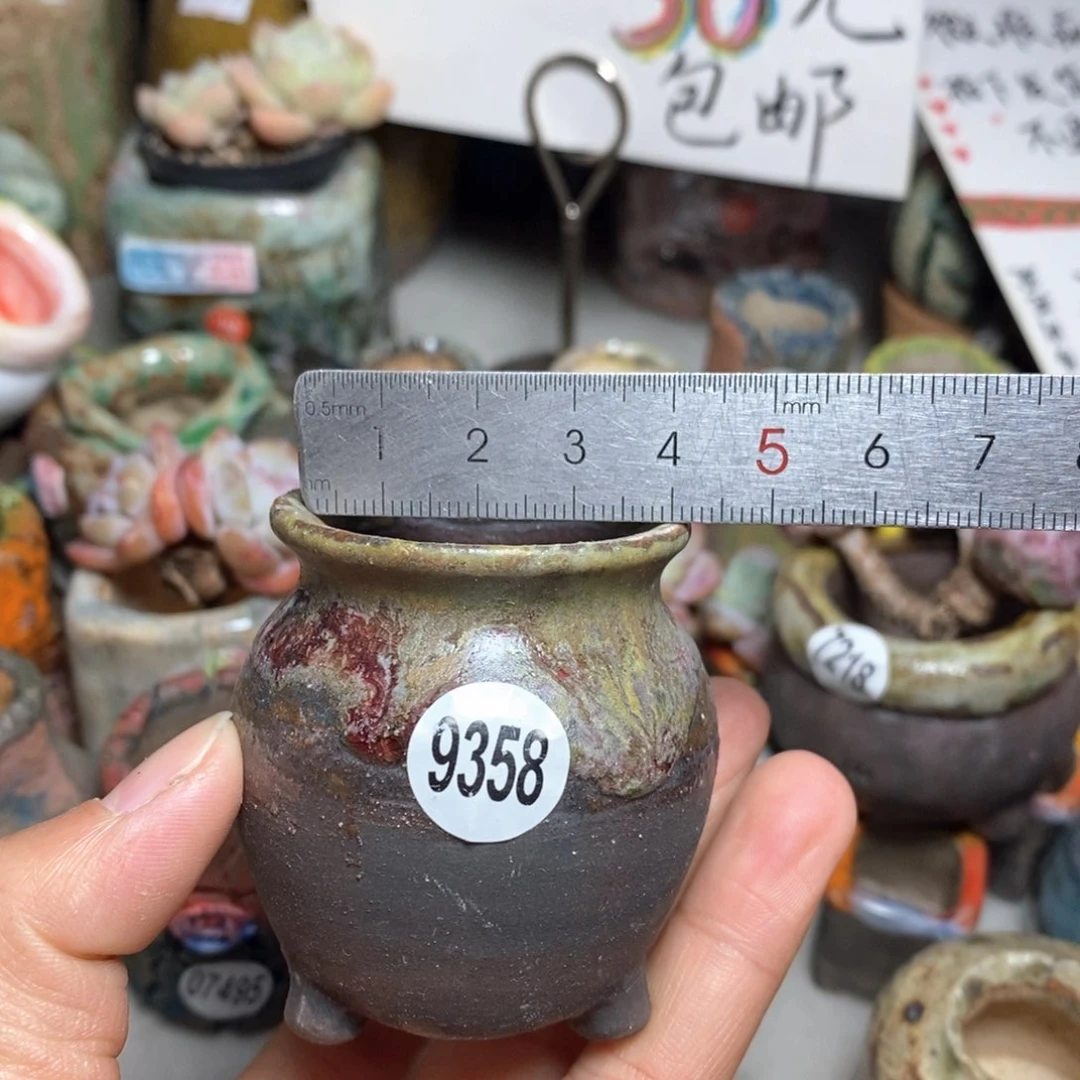 花盆拍5送一个小礼物