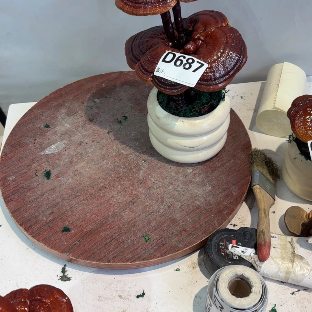 ໑****无花朵灵芝555555555222256