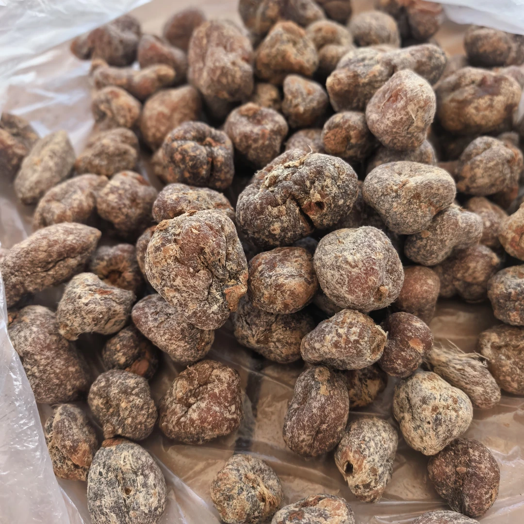 云南深山高海拔滋补九转還阳参煲汤泡酒泡茶包邮