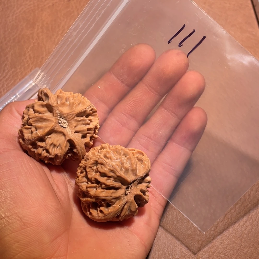 核桃手串/手链111