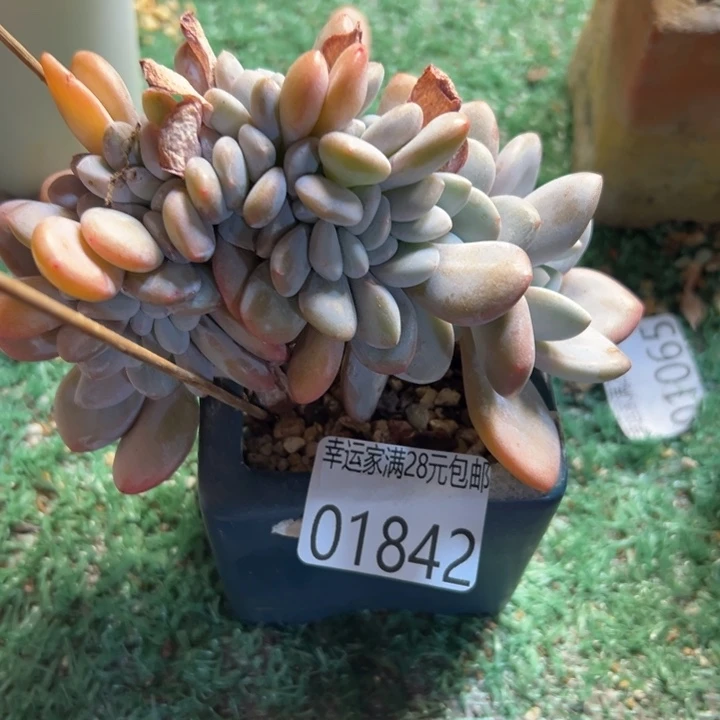 幸运的是我还没遇到