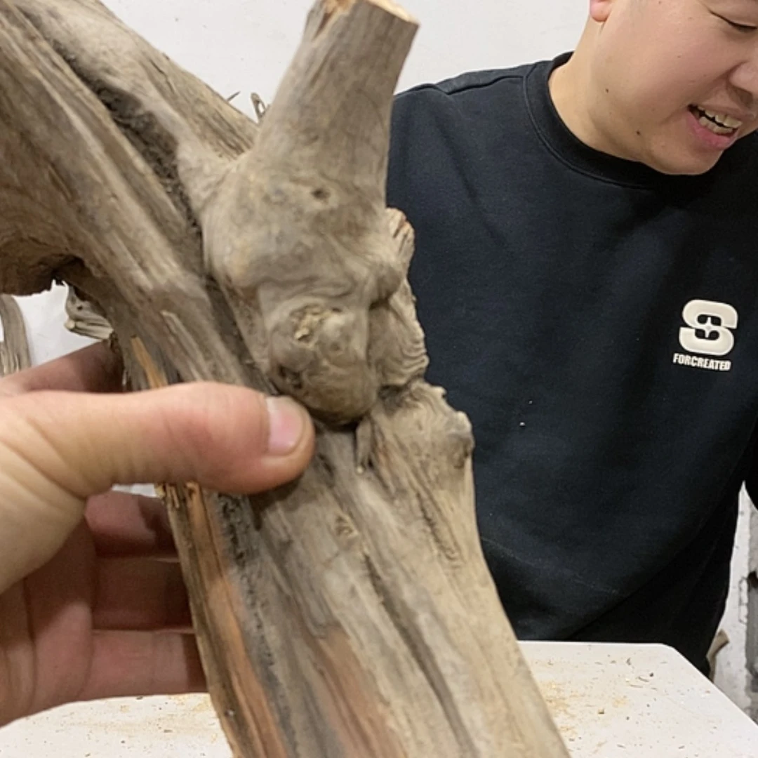 【闪购商品】柏木疯*车我们都是好孩子