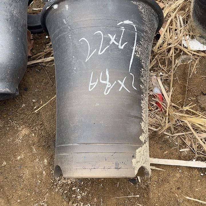 罐北*直筒口径22高度27两个黄