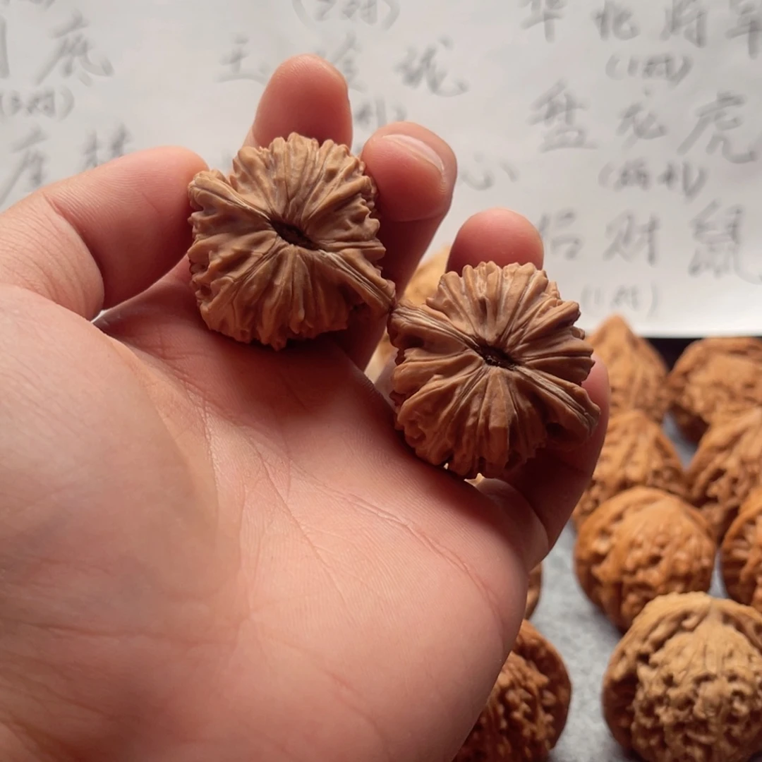 核桃山地楼精对无药