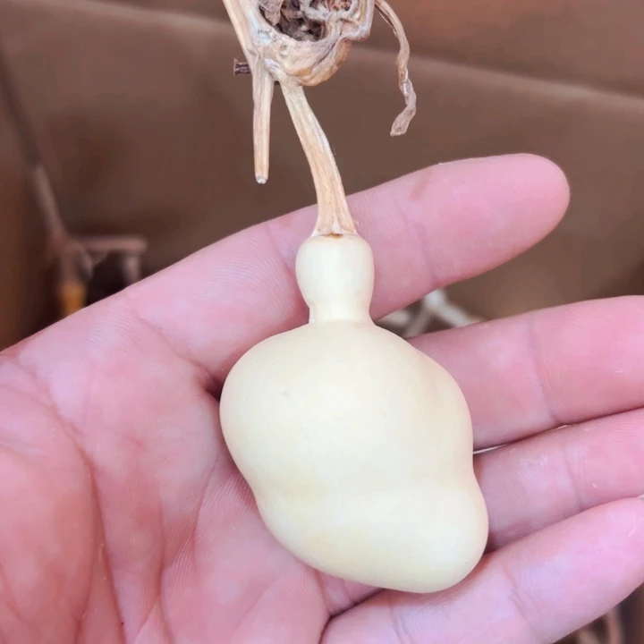 段*子文玩葫芦八宝葫芦