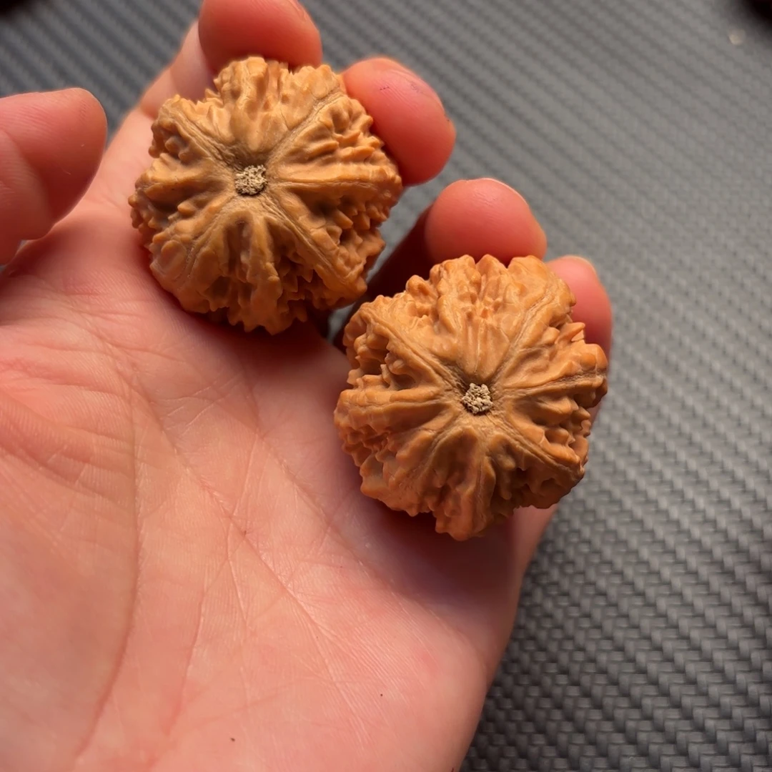 喵***咪文玩核桃吊坠哈哈哈哈粗筋