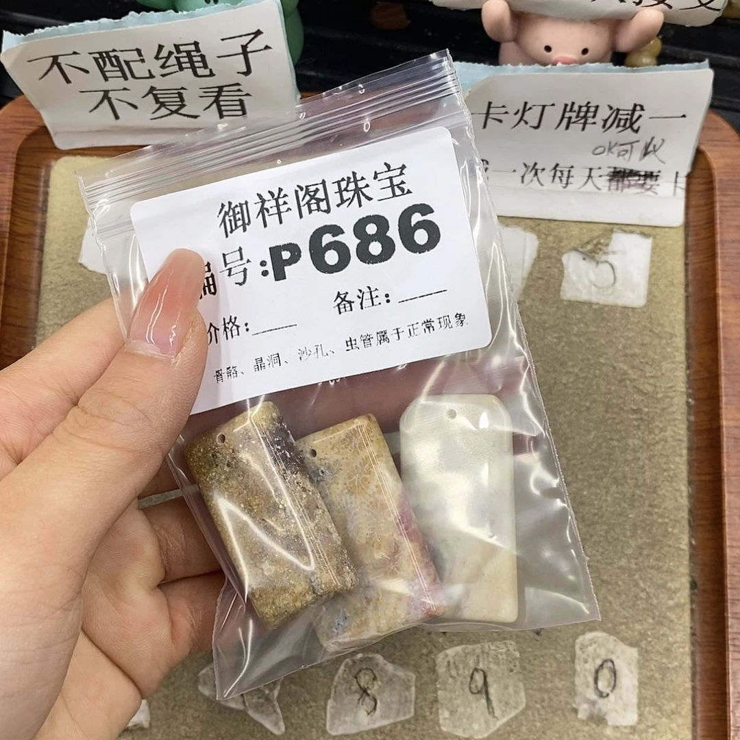 硅化珊瑚（珊瑚玉）未镶嵌颈饰飞***林