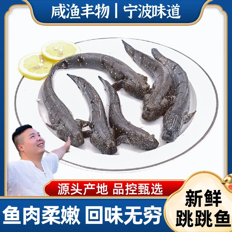 食用弹涂鱼跳跳鱼东海速冻海鲜水产海鱼煲汤无刺