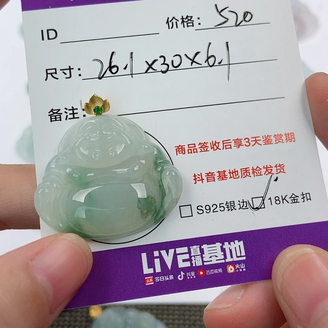 颈饰未镶嵌翡翠翡翠