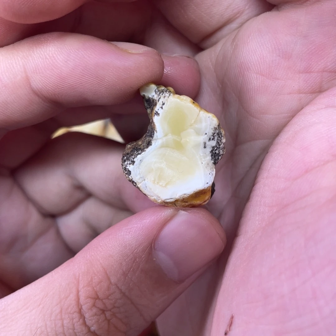 定制琥珀天然琥珀12圆珠