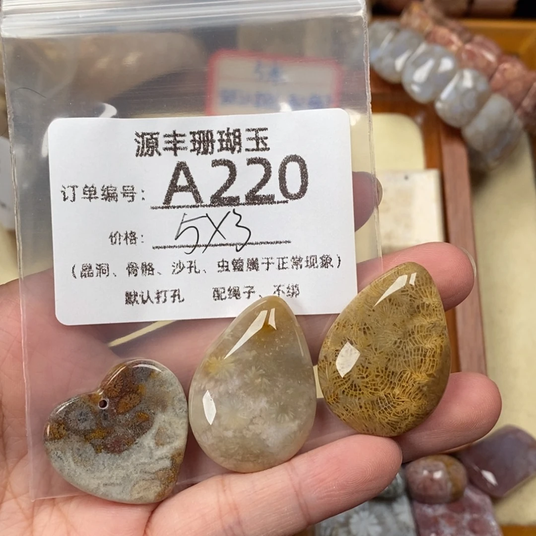 A***外未镶嵌颈饰硅化玉